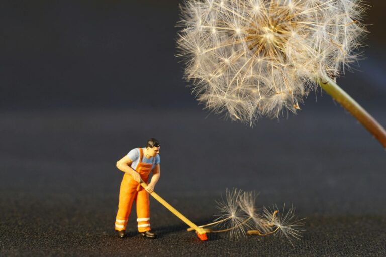 工资管理软件平台；软件